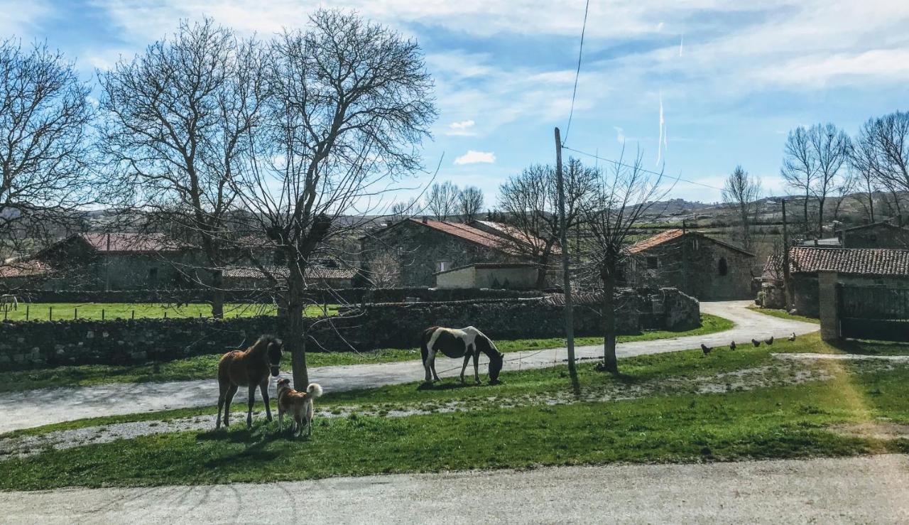 La Casita / Casa De Campo Santa Gadea  외부 사진